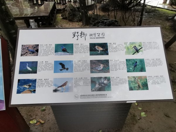 野柳地質公園、金字碑淡蘭古道、桃源谷大溪線-蕃薯寮山、福德山、林美石磐步道 - 2022/1/311667983