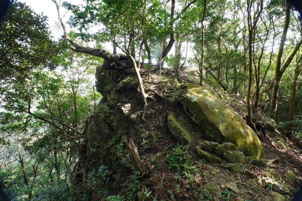 新竹 尖石 蓮包山、外鳥嘴山2914327