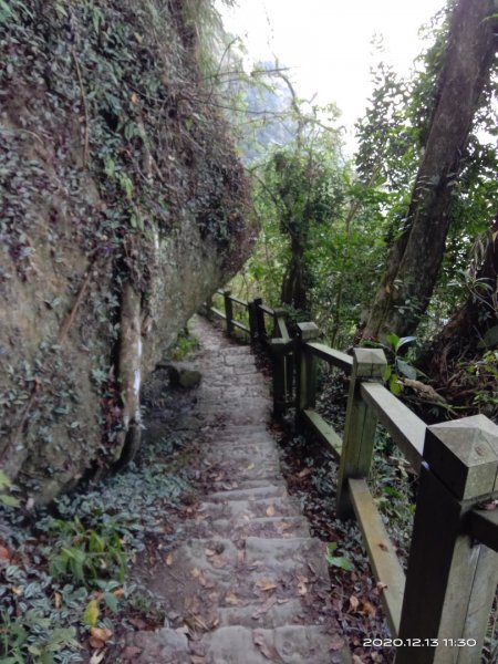  步道巡訪員 l 崁頭山步道12月份巡禮1204917