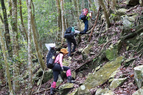 八仙山林場。清水臺2525955