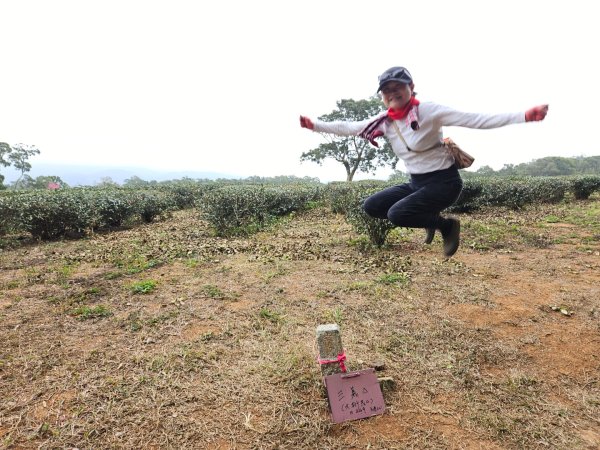 20260127三通嶺山.三義山(大桁茂山).慈濟山.大坪山大O走2989994