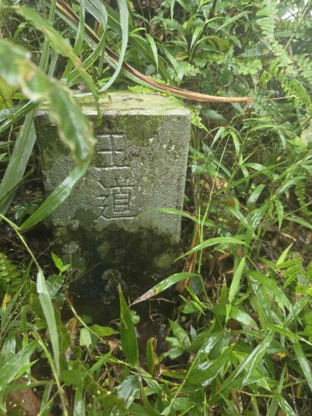 20260819九芎林山西北峰-主峰-土地公嶺3111508