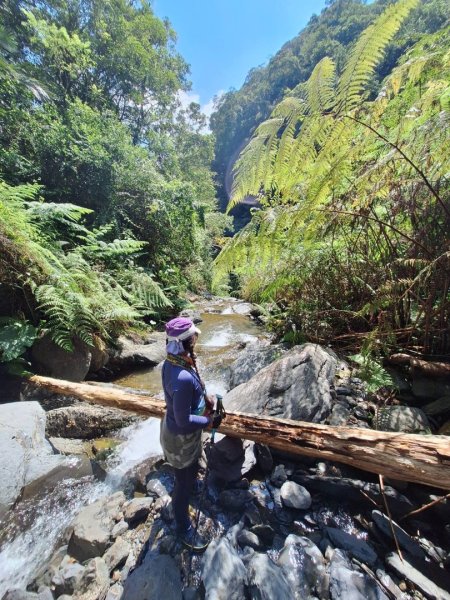烏來阿玉溪山/西坑林道/探勘派出護管所彈藥庫遺址至獅坑橋2582036
