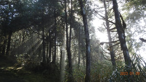 再衝太平山賞日出/雲海雲瀑同框&霧虹觀音圈同框&首登望洋山1/81986381