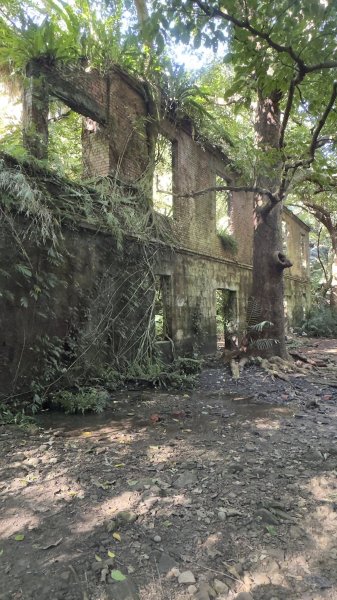 20251116五寮尖2942253