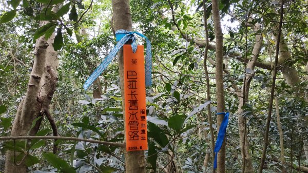 ✅巴拉卡舊水管路/開墾地遺址 (總計25段陡坡架繩.更新路條417.全段修徑開通)2382408