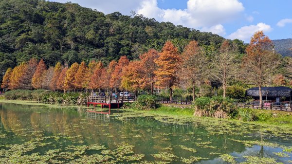 望龍埤,鎮頭山,蜊埤湖2391876