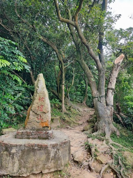 大棟山/樹林防災雷達站-小百岳#15-新北市樹林區2246899