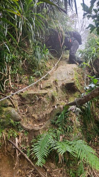 20260118五四縱走2984044