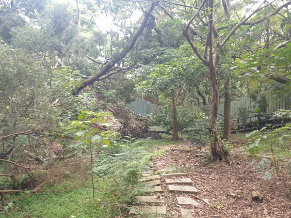 20220611印斗山(新竹軍人忠靈祠 - 青草湖)1744537