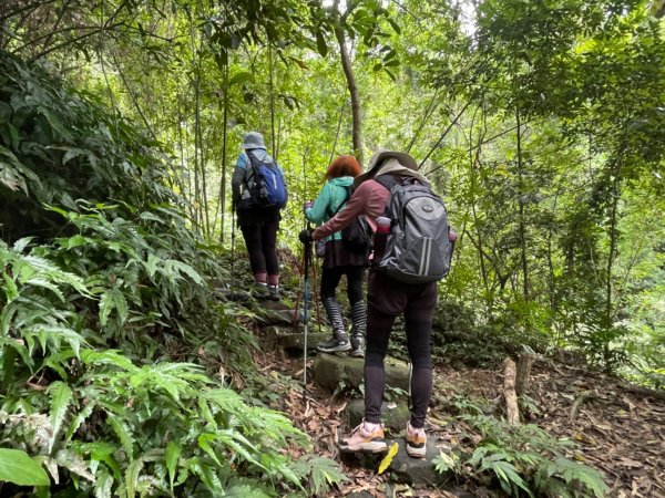 1140618鳴鳳古道｜錫隘-雲洞宮2815361