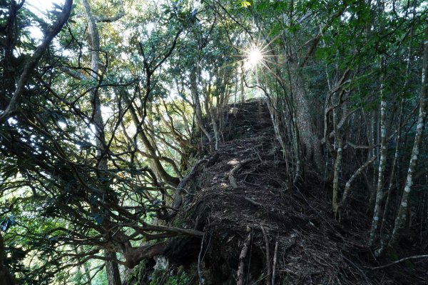 台中 和平 南松鶴山、八仙山、東松鶴山2877947