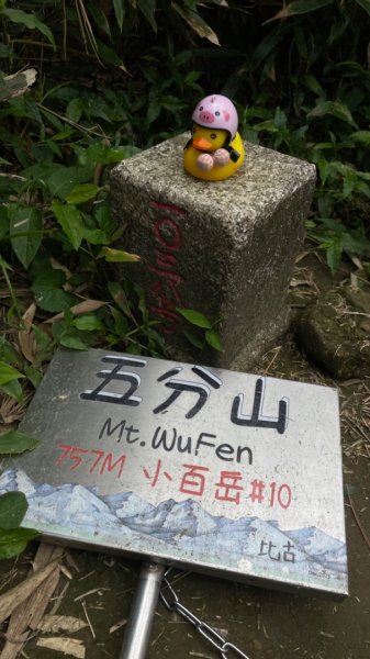 淡蘭古道北中南路全段共15段2567967