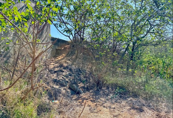 鐵砧山(小百岳#38)與桂花泉登山步道2934533