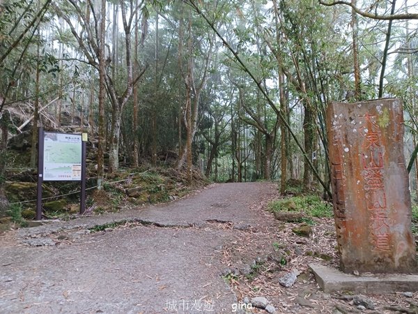 【台南白河】雞籠山+九龍山+大凍山O繞縱走2797171