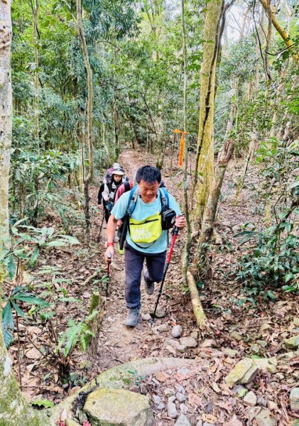 六龜警備道茂林段：網子山-網子山東北峰-鳴海下山-鳴海山(小百岳#71)2981516