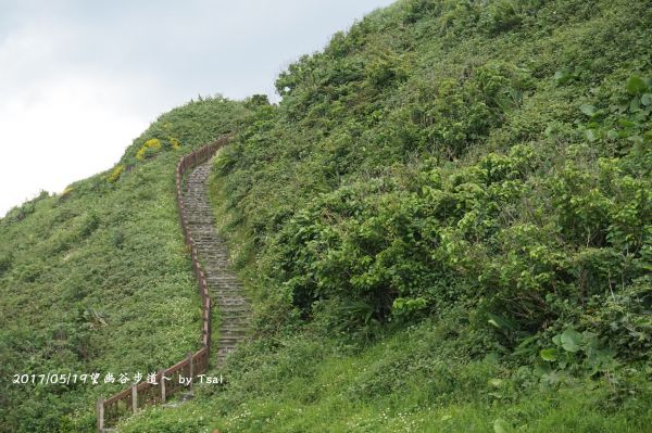 望幽(忘憂)谷步道20170519135935