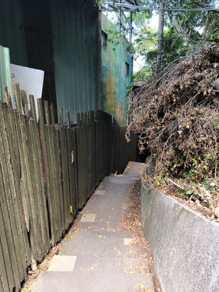 20250917微笑山線：【二格山系】和美山螢火蟲段2888900