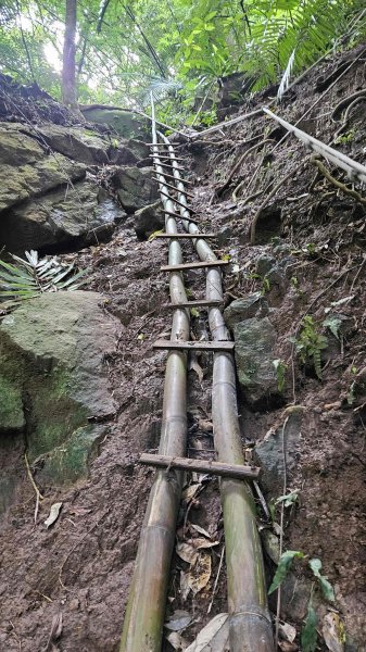 20250804溪山百年古圳-鵝尾山水田路-平菁步道O型2854793