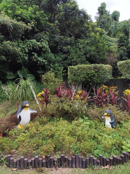 大稻埕、大港墘公園、瑞陽公園、碧湖公園步道【臺北健走趣】2874235