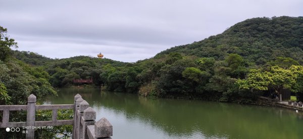 情人湖加大武崙山O型785493