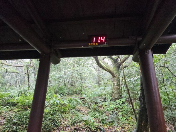 2026年臺北大縱走第一段：關渡至二子坪3010873