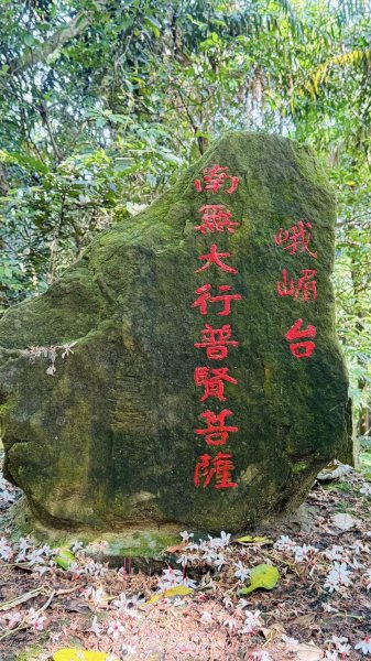20260503大溪大艽芎古道3059632