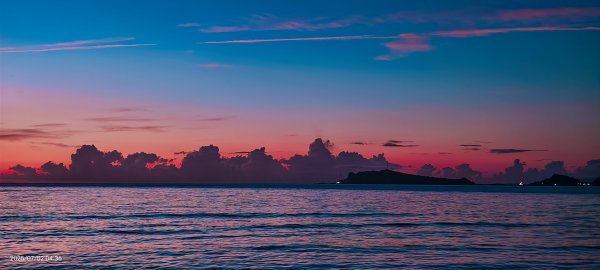 天龍國阿伯的日常-雲山水花鳥蝶  #龜島曉日  #牡丹蓮 #香水蓮  #手機拍攝 賞蝶趣 7/2&32826050