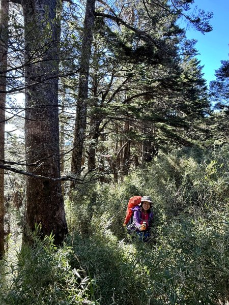 觀雲山莊經小完美谷上畢祿山O繞2917235