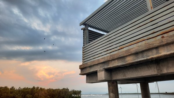 《彰化》海空七夕｜芳苑海空步道濕地紅樹林202408102569278