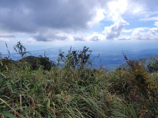 朝聖之路小百岳--三角崙山2356925