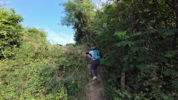 高雄 小崗山2927248