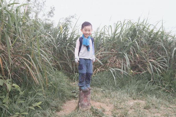 四歲小樂的第五座小百岳-鵲子山964898