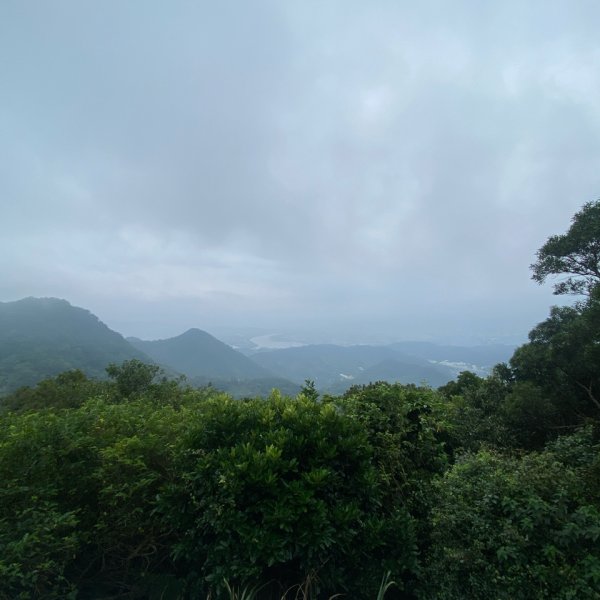 20240616觀音觀鷹尋寶任務福隆山登山步道、林梢步道、牛港稜山登山步道2535545