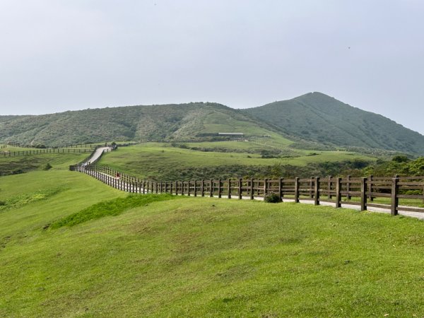 臺北大縱走第三段 小油坑》風櫃嘴2478268