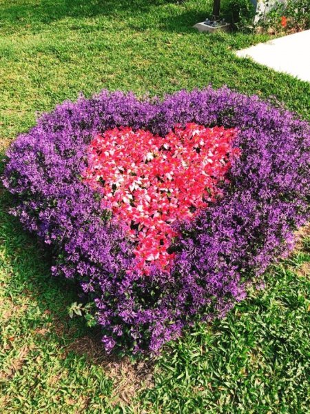 2018台中花博豐原葫蘆墩公園465509