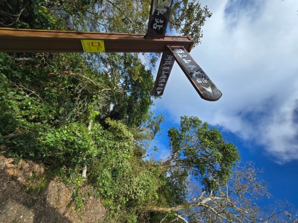 嘉義竹崎十連峰（ 阿拔泉山進O繞獨立山出）2655199