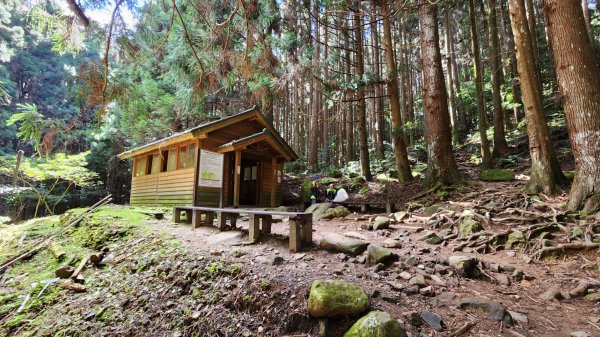 苗栗加里山，橫龍山，騰龍山，橫龍古道，鳥嘴山（上島山），南十八尖山，崎頂子母隧道，青青草原1885539