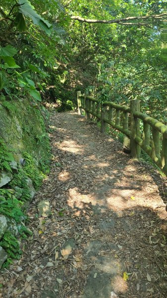 2025-0130溪和宮-大崎頭步道-鵝尾山-平溪步道-鵝尾山水田-42巷-溪山百年古圳-平菁步道2701923