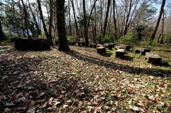 【公告】通行能高安東軍之登山客,預通行奧萬大吊橋，請聯繫奧萬大國家森林遊樂區。