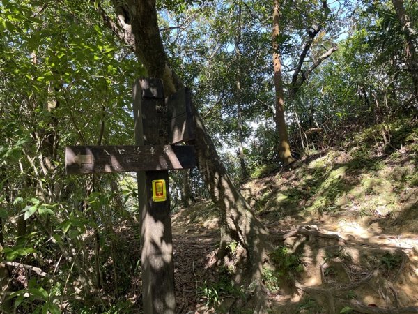 【二格山系】皇帝殿稜線2914124