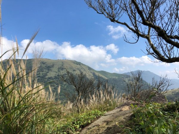 大屯山西峰542108