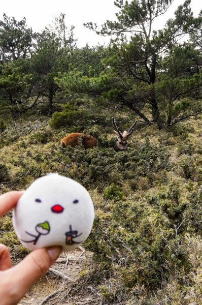 戒茂斯上嘉明湖三天兩夜2769434