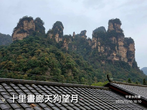 2025/11/8-10張家界園區2939343