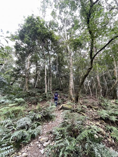 小百岳｜高雄茂林鳴海山1606729