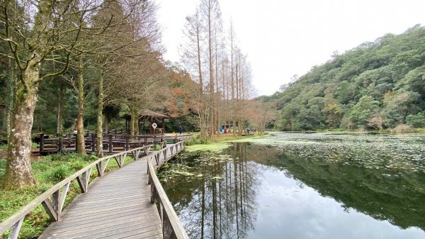 福山植物園1571680