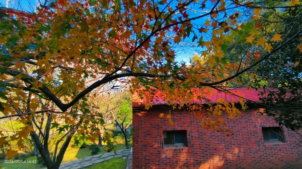 #花卉試驗中心 #永公路500巷 #平菁街42巷 #原住民公園 #士林官邸 1/42976553
