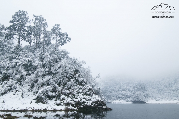 【攝野紀】夢幻般的雪中松蘿湖264534