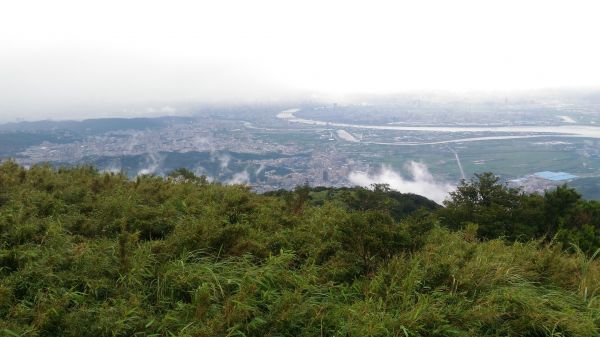 前往面天山的面天山-向天山步道174667