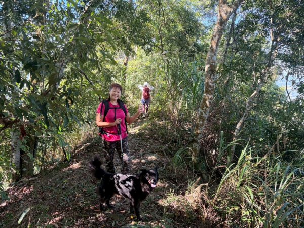 雙崎埋伏坪山歩道、鯉魚潭水庫、大峽谷2938944